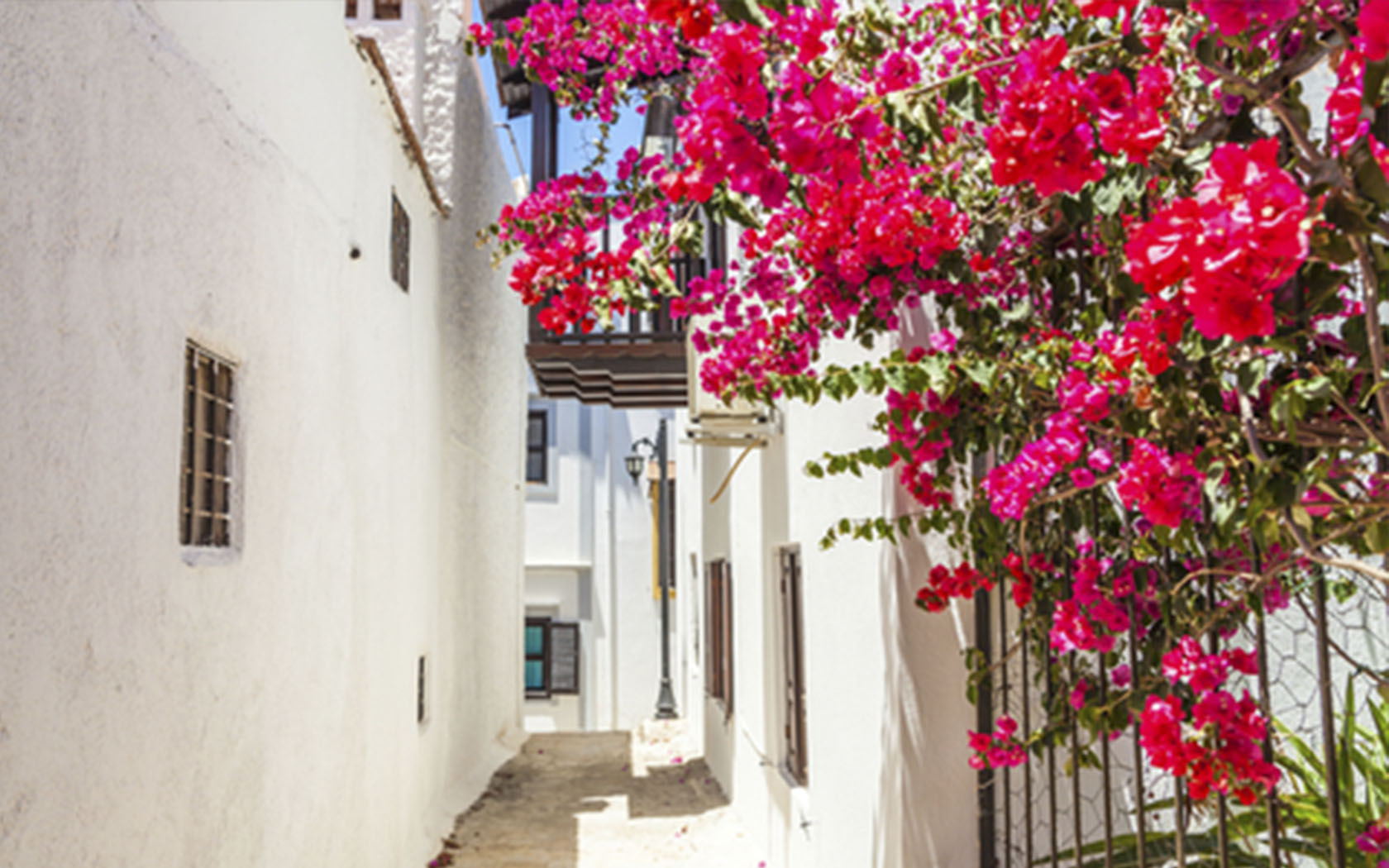 A charming local street scene.